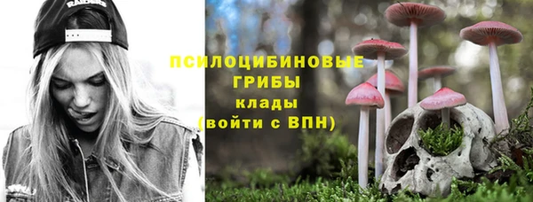 хмурый Балабаново